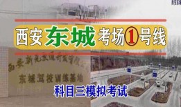 龙东科目三爆料视频最新