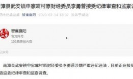 武安最新爆料消息,揭秘事件背后惊人真相